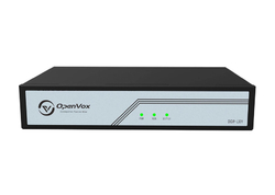 OpenVox DGW-L301